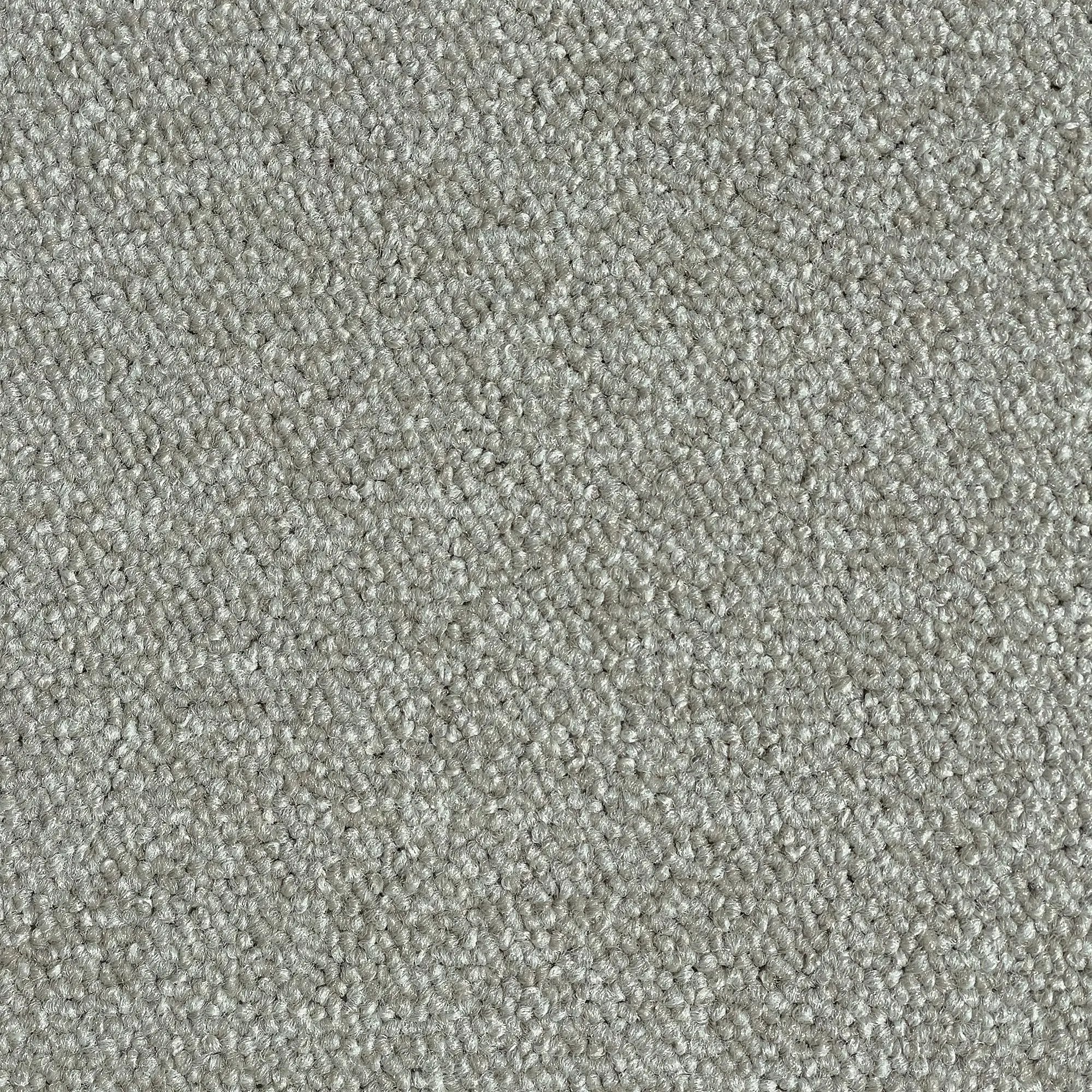 Boring Carpet (5m2) Siersema