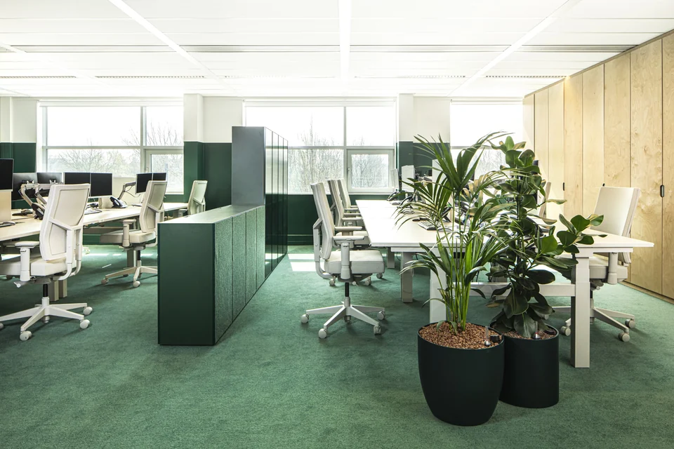 Aidsfonds, Amsterdam, by Hollandse Nieuwe: green carpet, green cabinets and plants around grey Boring desks and chairs